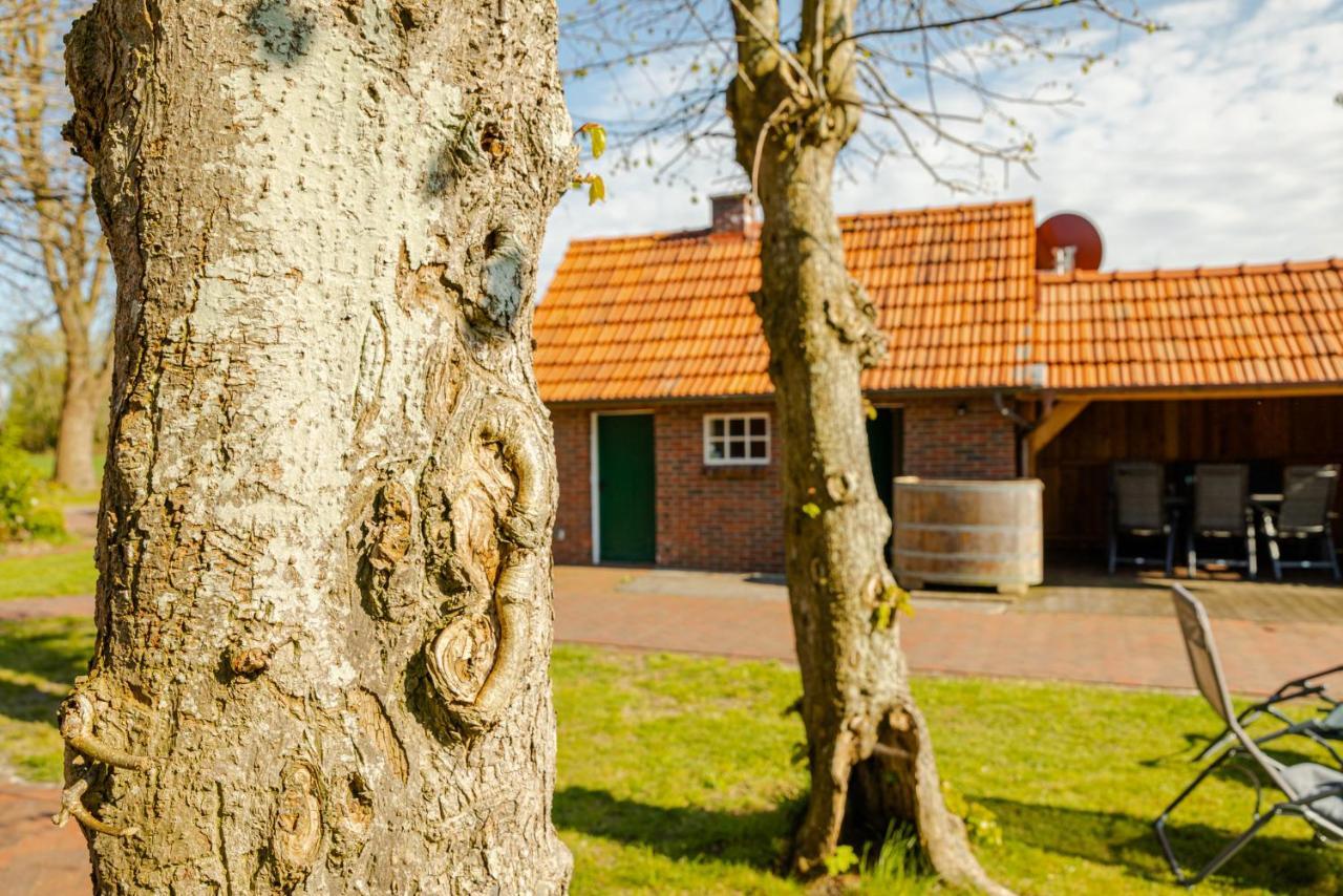 Reetdach Ostfriesenhaus Südbrookmerland Exterior foto